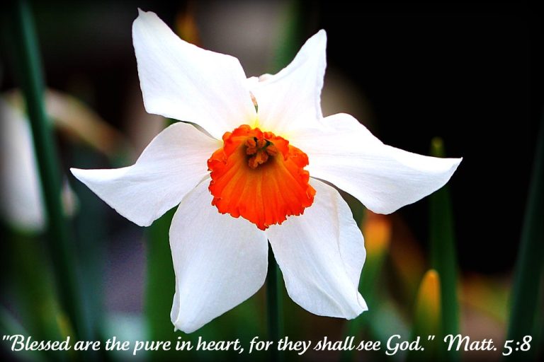 a pure heart