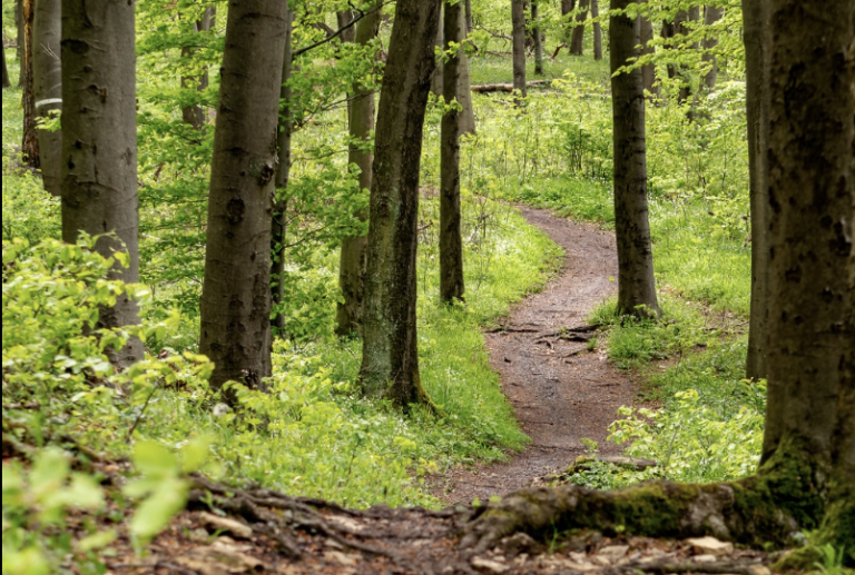 stay on the path